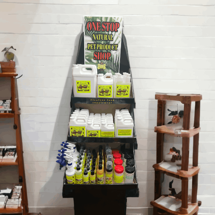 Flea free opportunity